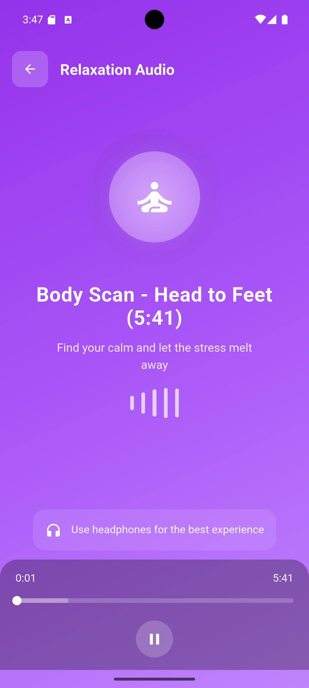 Screenshot of wellness tracking